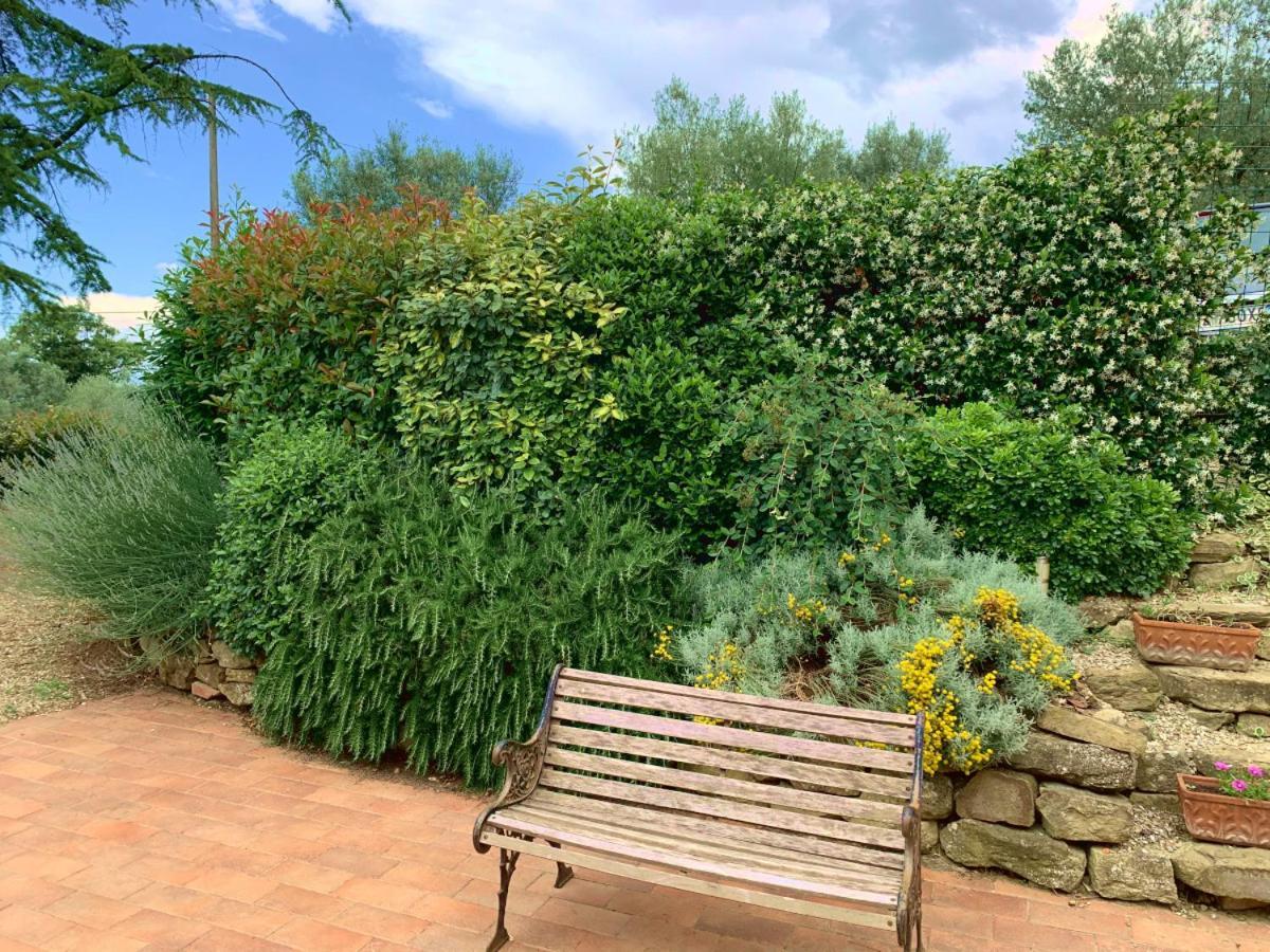 Agriturismo La Collina Toscana Pieve a Maiano Ngoại thất bức ảnh