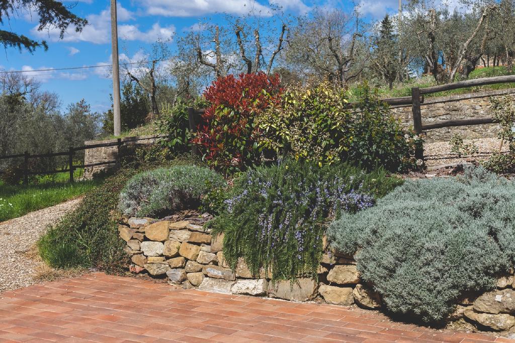 Agriturismo La Collina Toscana Pieve a Maiano Ngoại thất bức ảnh