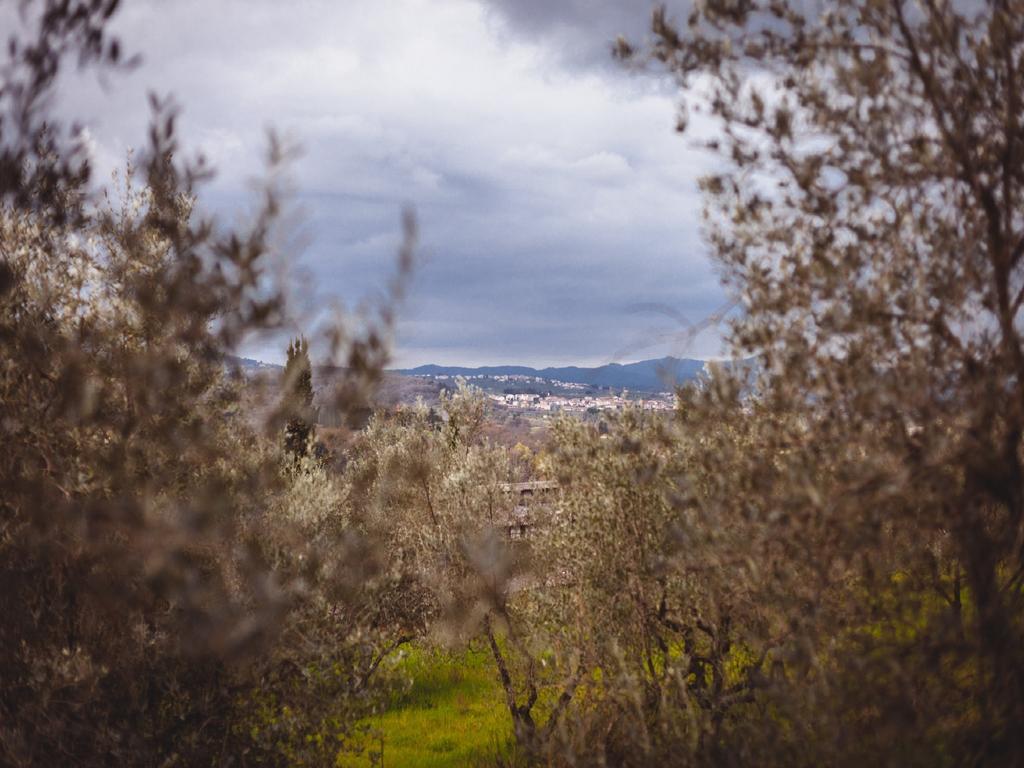 Agriturismo La Collina Toscana Pieve a Maiano Ngoại thất bức ảnh
