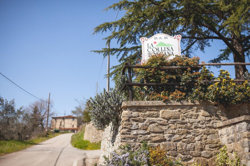 Agriturismo La Collina Toscana Pieve a Maiano Ngoại thất bức ảnh